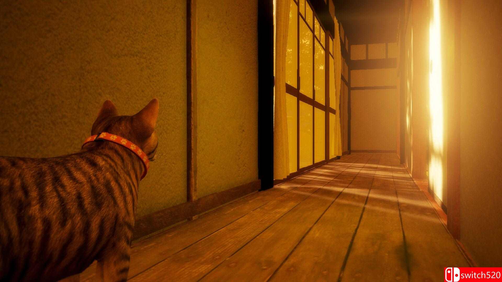 《猫还在逃吗？》游戏截图2