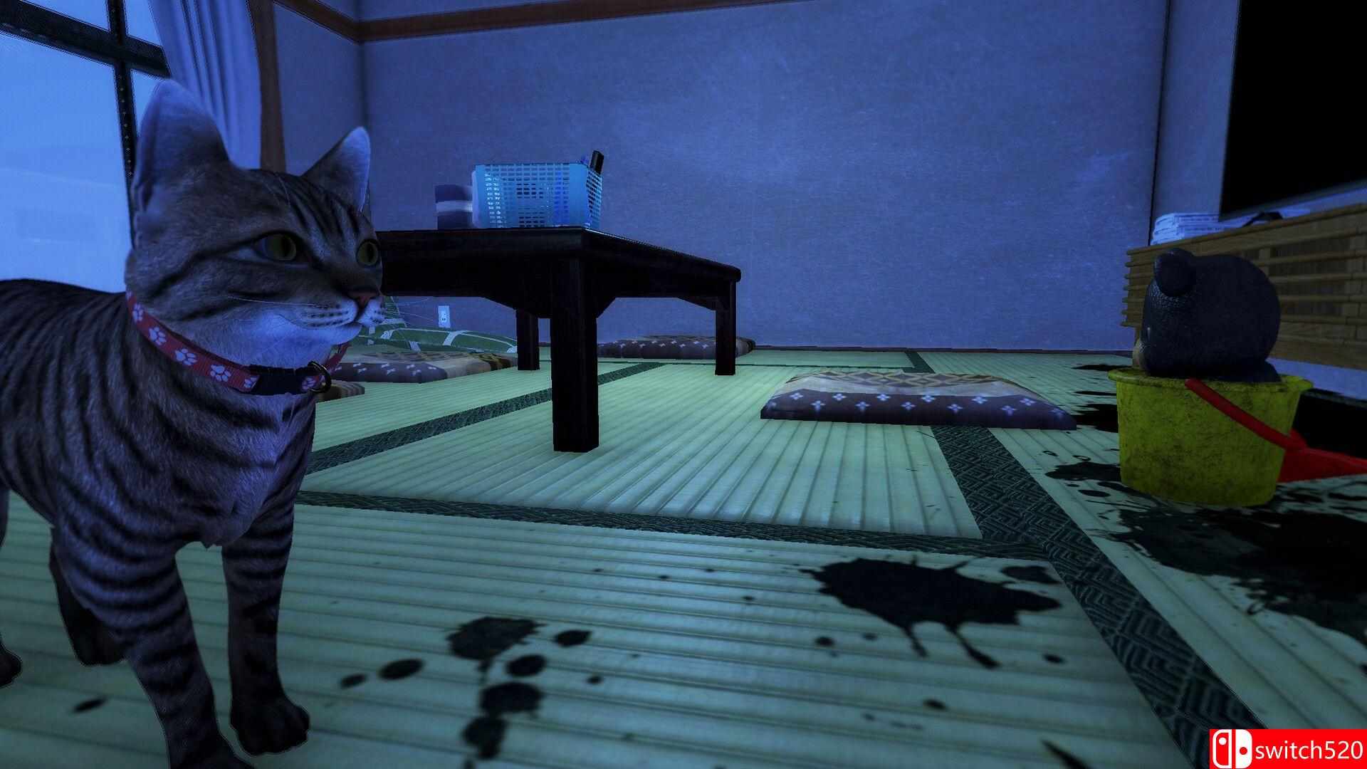 《猫还在逃吗？》游戏截图5