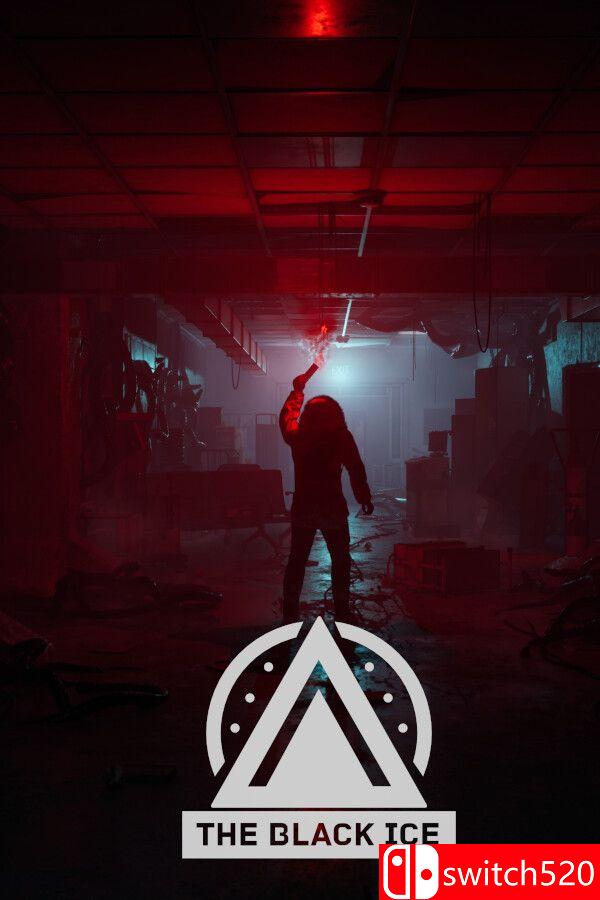 《黑冰（The Black Ice）》官方中文 P2P硬盘版封面图