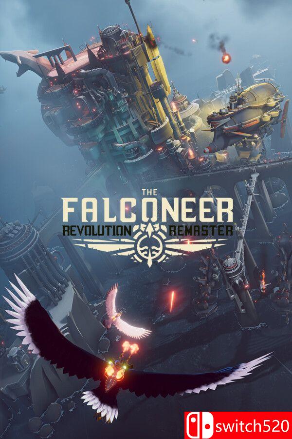 《空战猎鹰》官方中文版封面