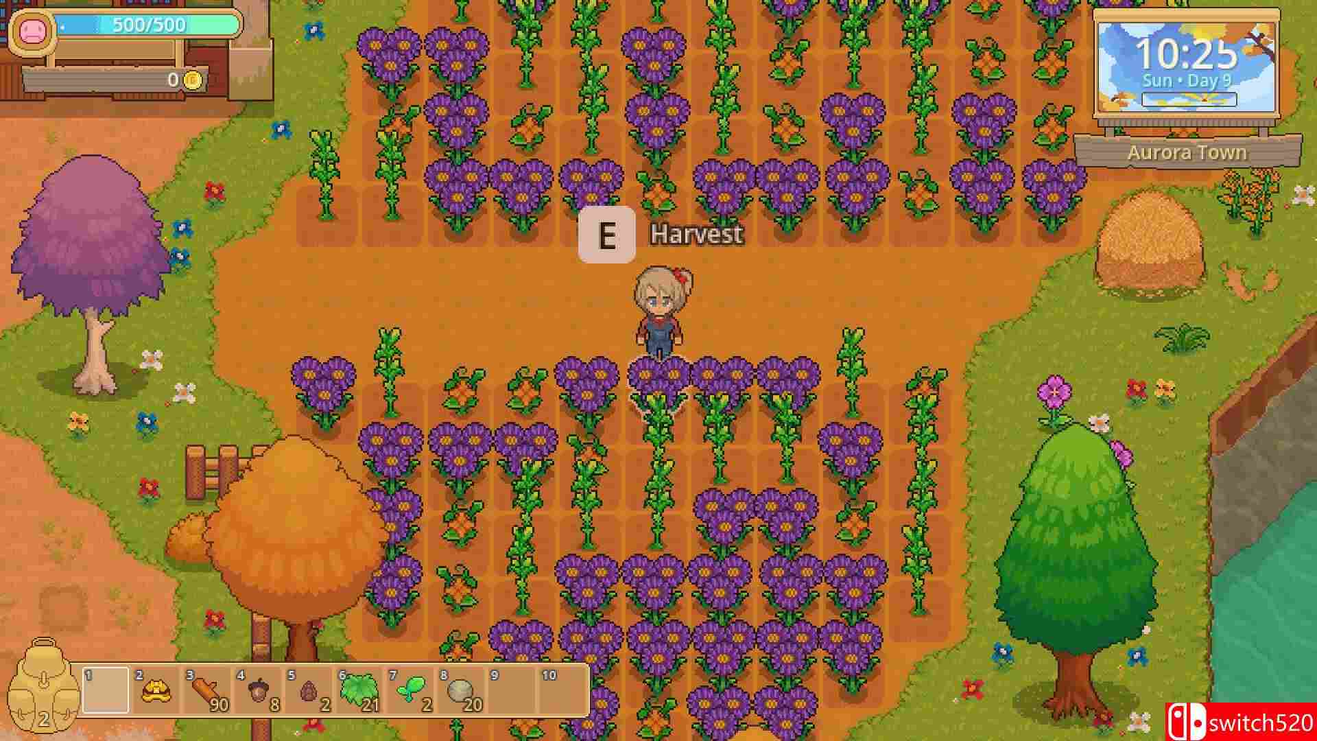 《宁静时光》游戏截图2