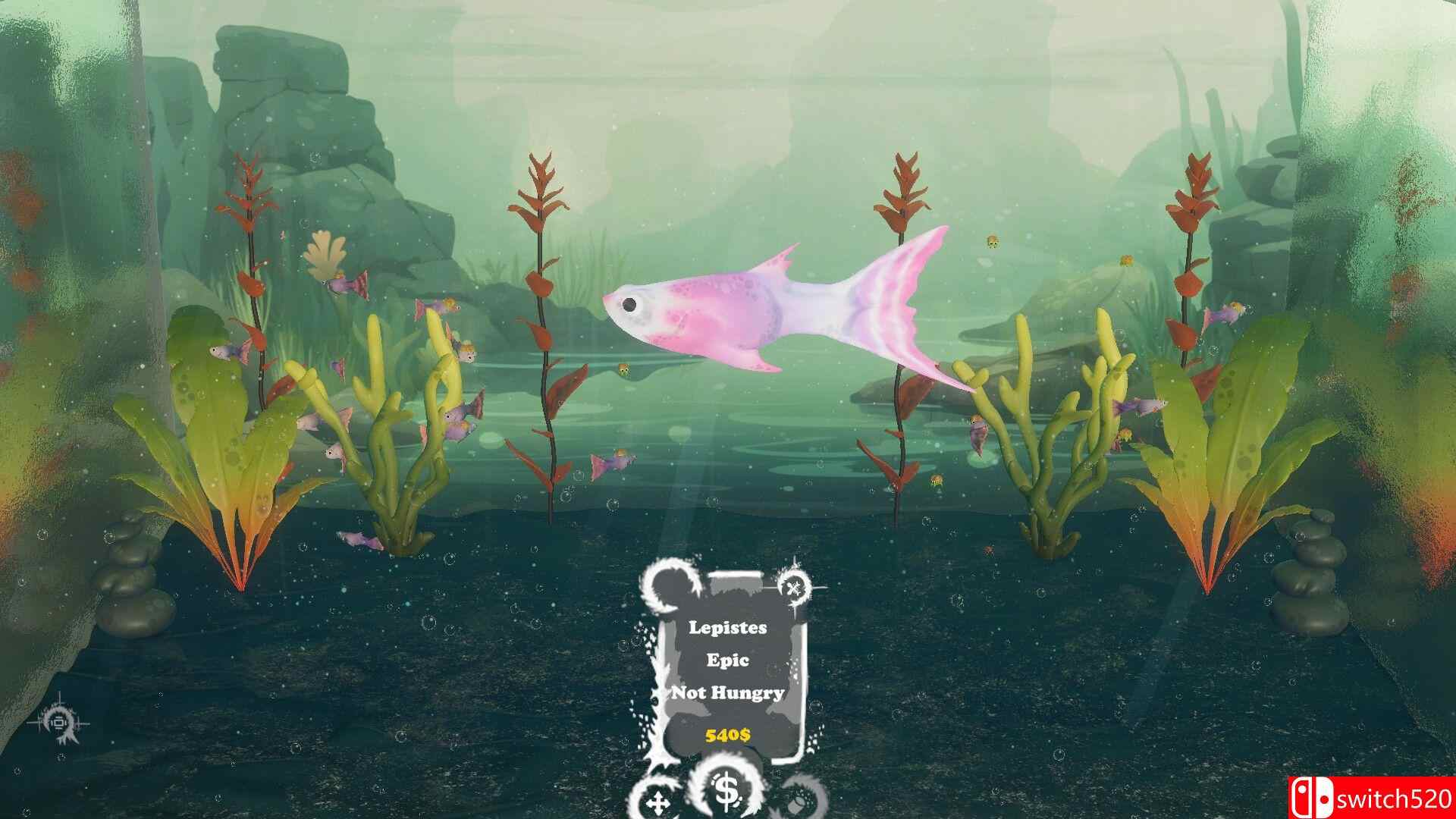 幻海水族馆游戏截图4