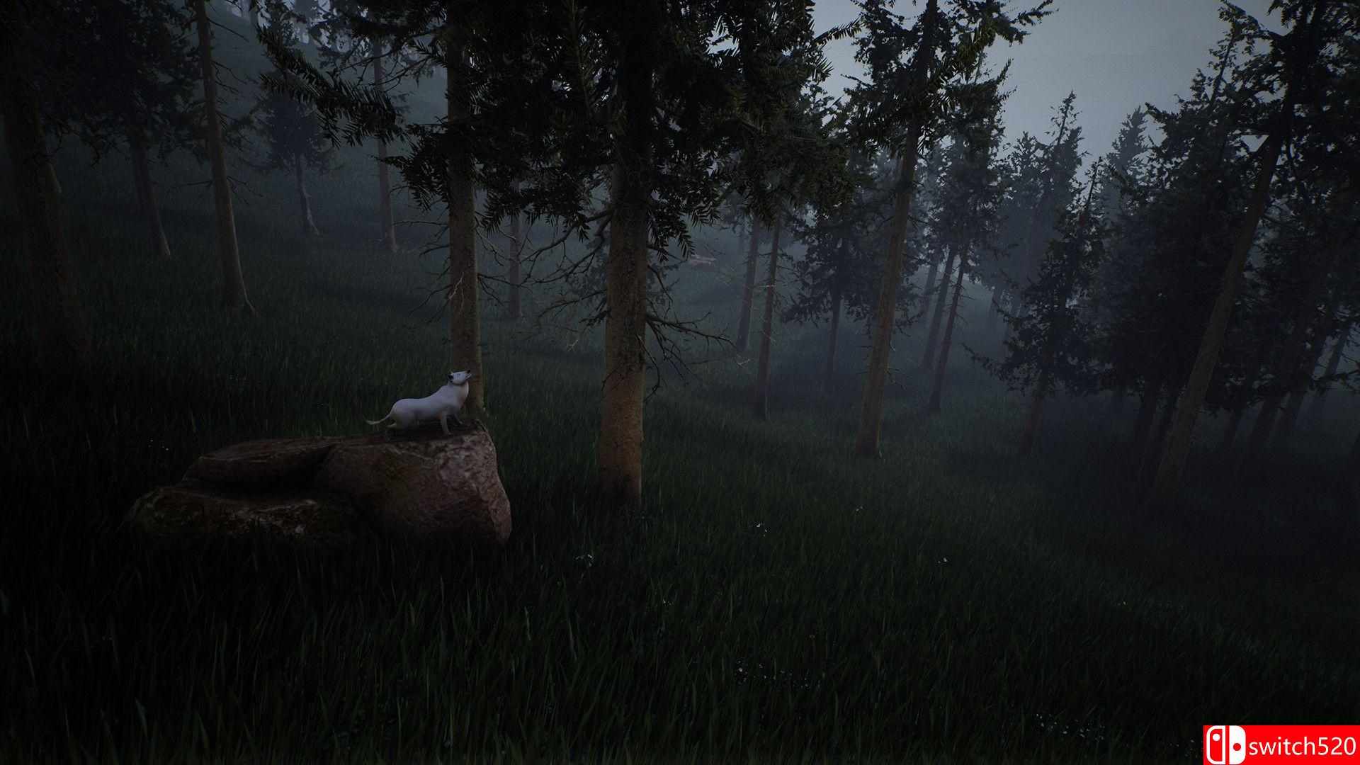 《生存主义：动物模拟（Survivalizm - The Animal Simulator）》TENOKE镜像版[EN]_1