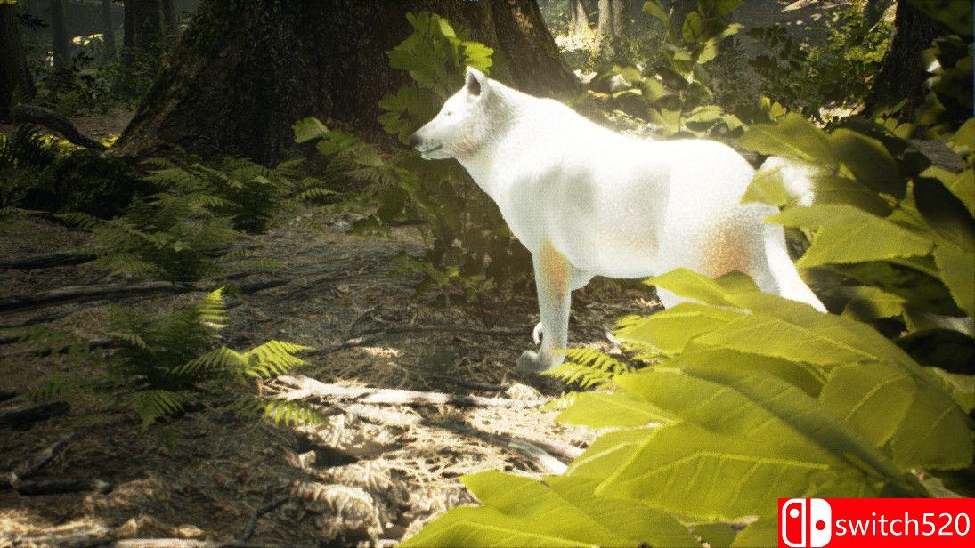 《生存主义：动物模拟（Survivalizm - The Animal Simulator）》TENOKE镜像版[EN]_5