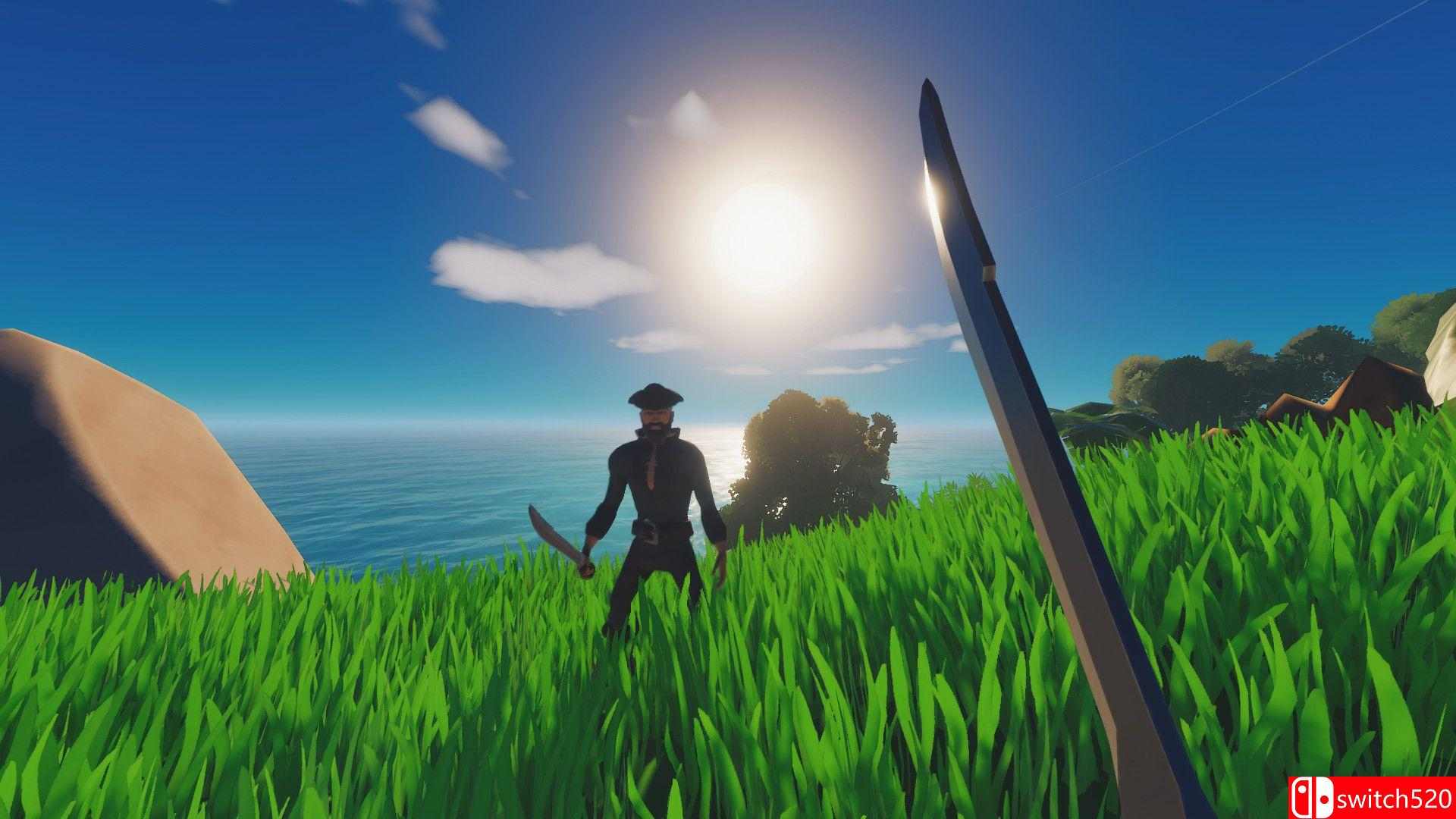 《盐2：黄金海岸》游戏截图2