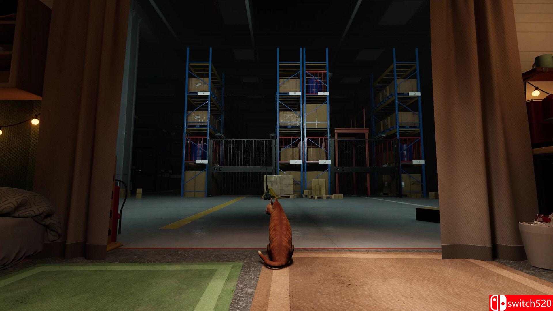 《猫好货坏（ORDER 13）》官方中文 v1.1 DINOByTES镜像版[CN/TW/EN/JP]_1