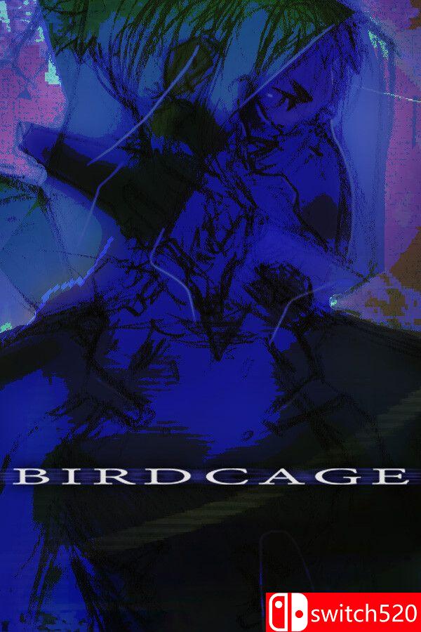 《鸟笼（BIRDCAGE）》游戏封面