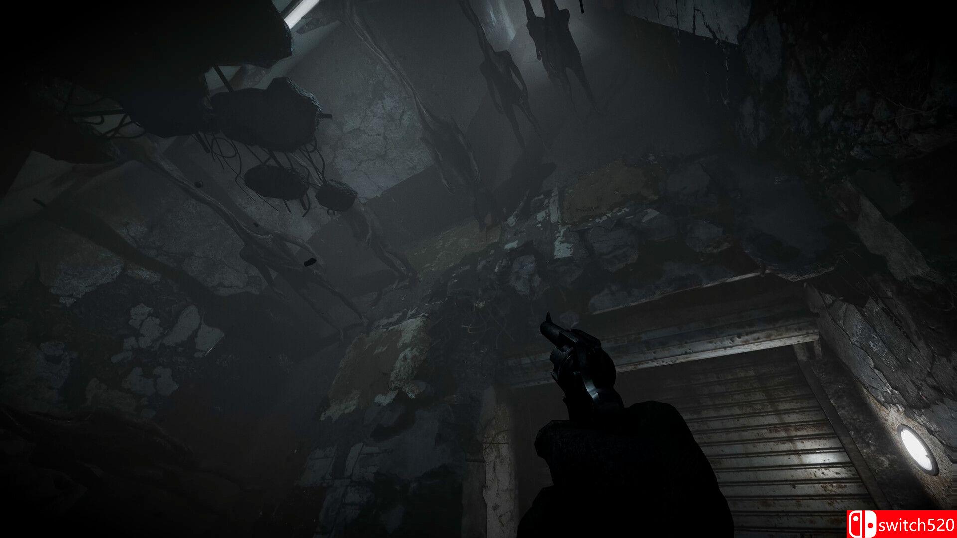 《全面混沌（Total Chaos）》SKIDROW镜像版[EN]_4