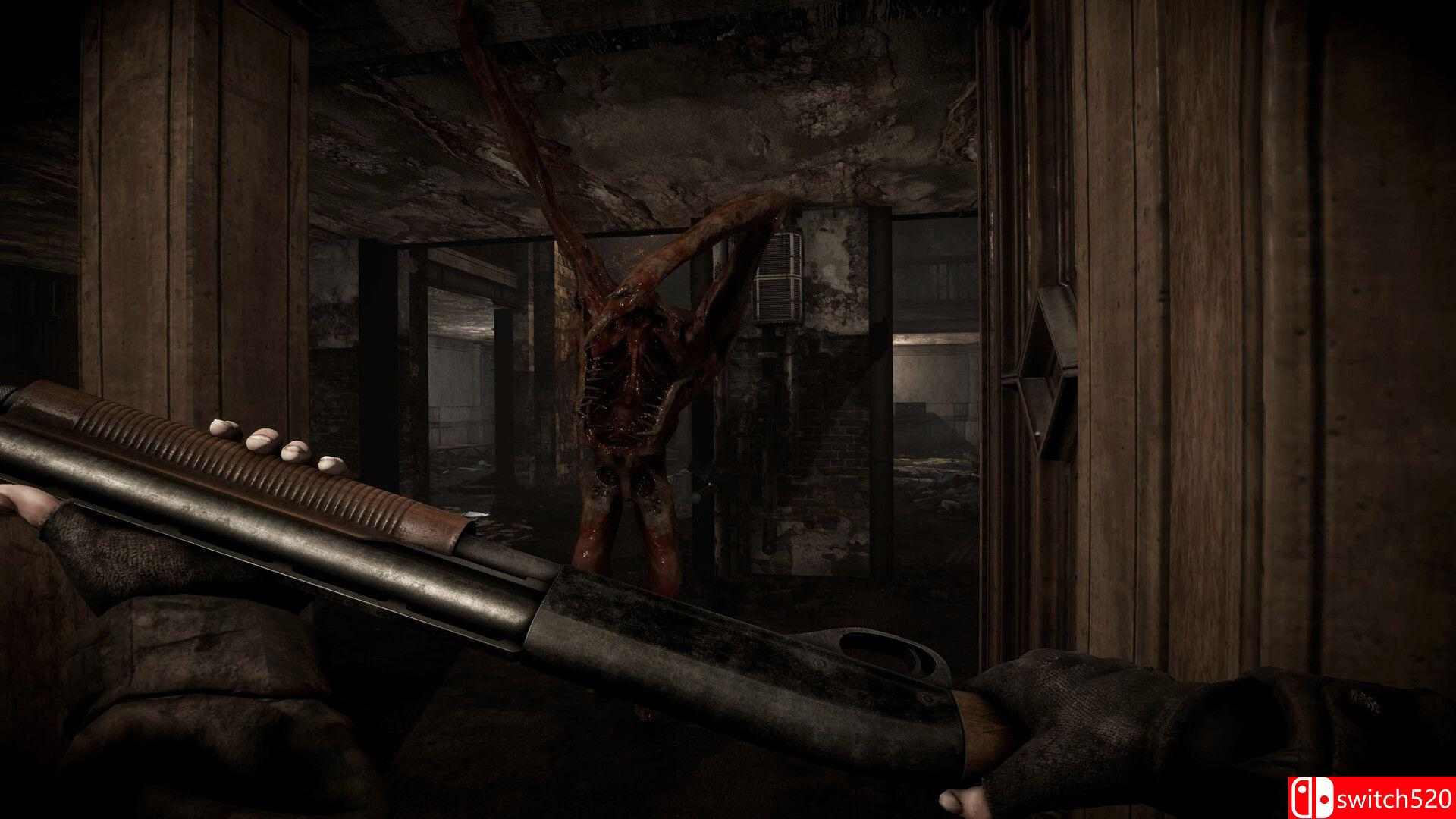 《全面混沌（Total Chaos）》SKIDROW镜像版[EN]_5