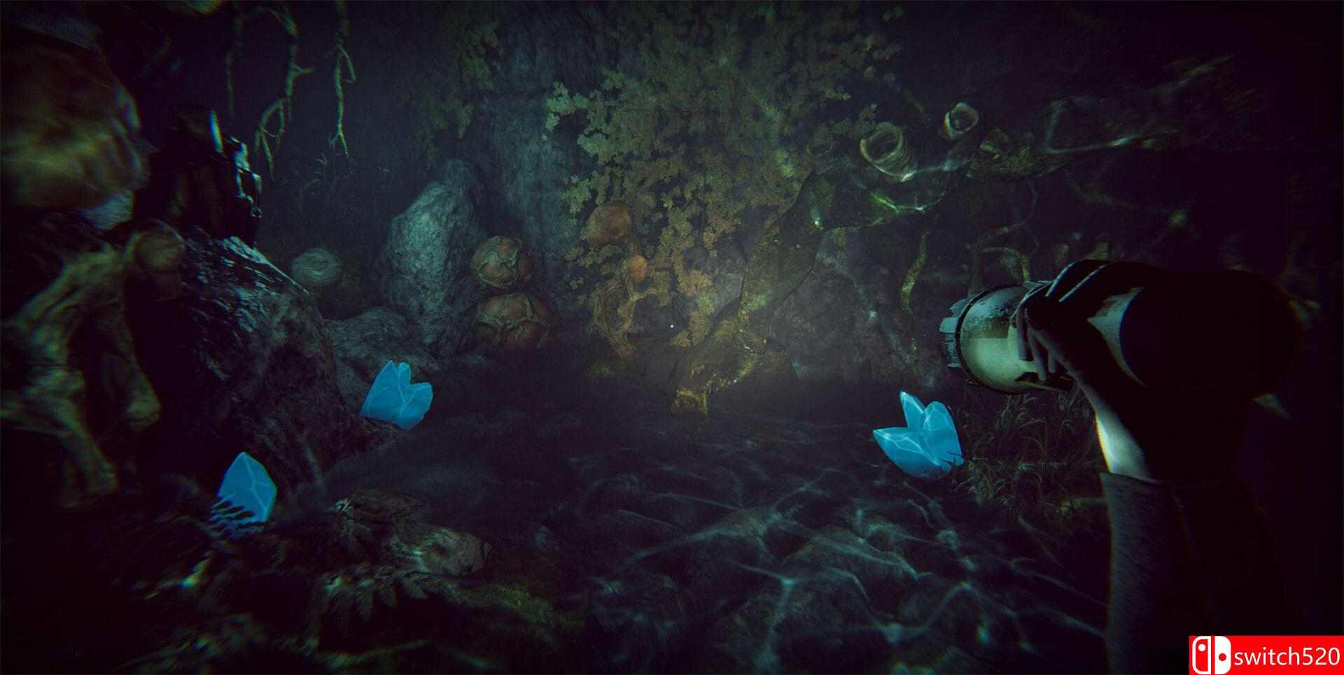 《Morphos》游戏截图3