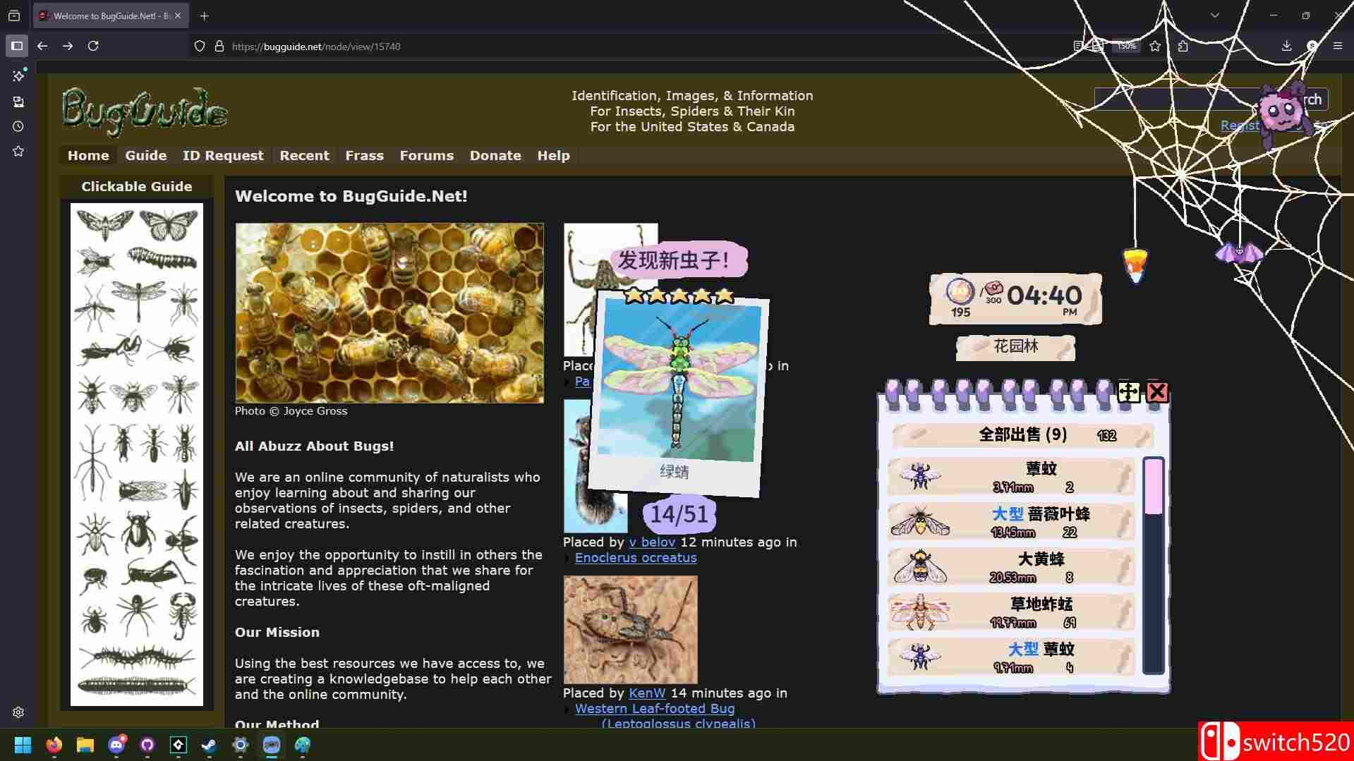 《我的小小蜘蛛》截图4