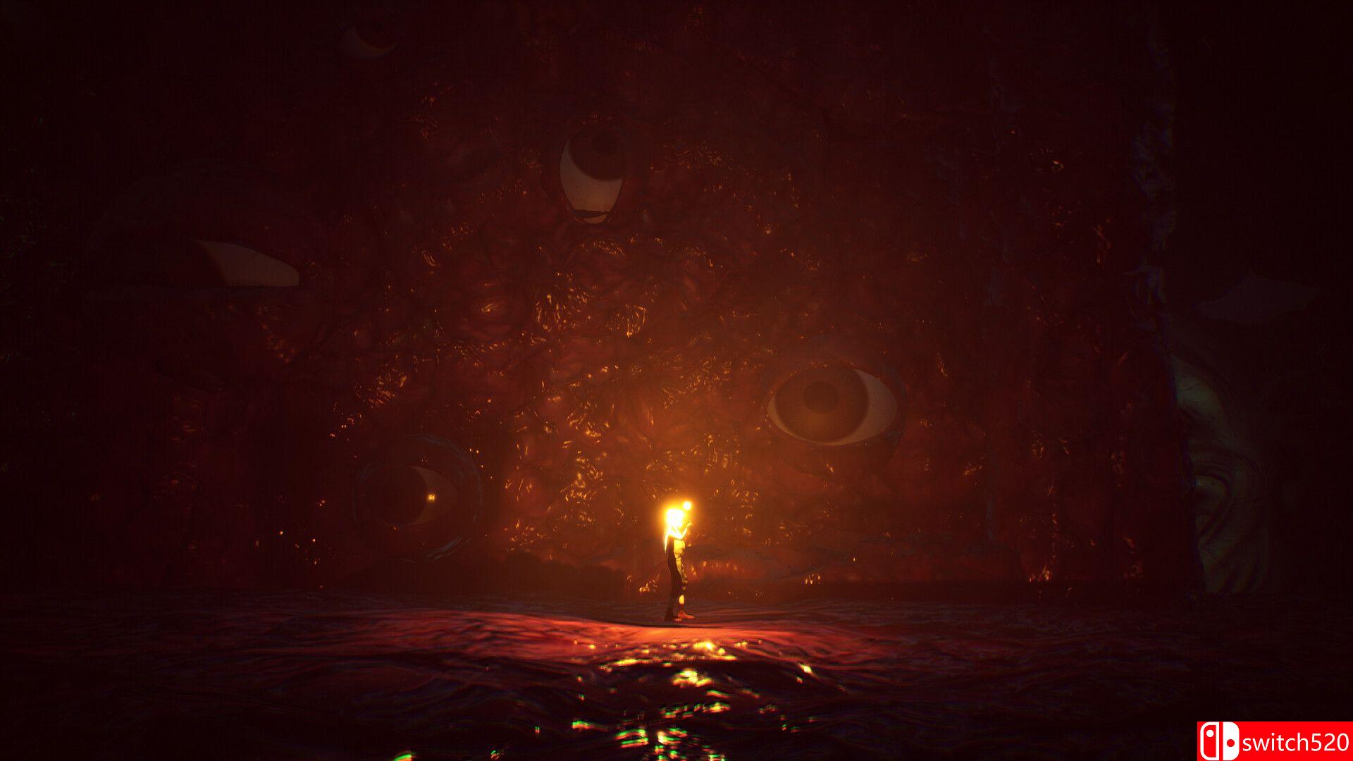 《寂静之国的波斯菊》游戏截图 4