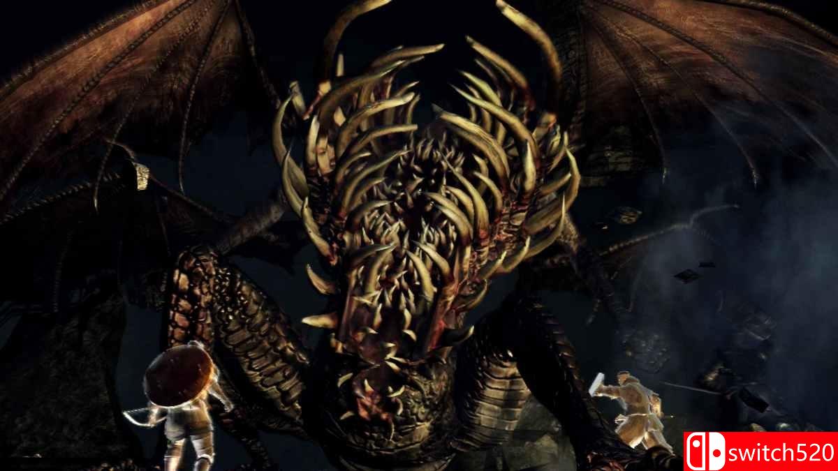 《黑暗之魂：受死版》游戏截图4