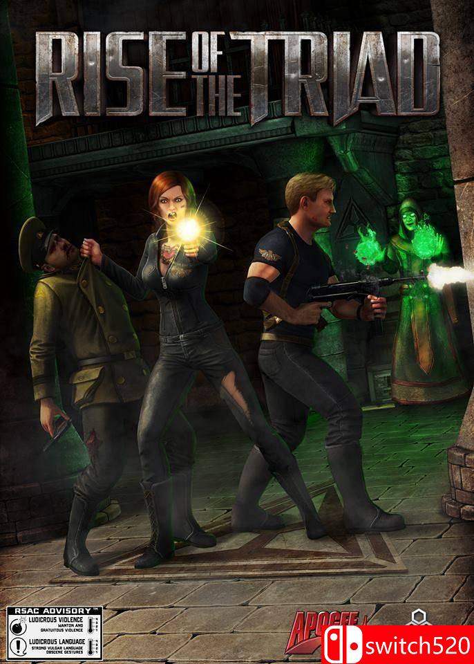 龙霸三合会游戏封面