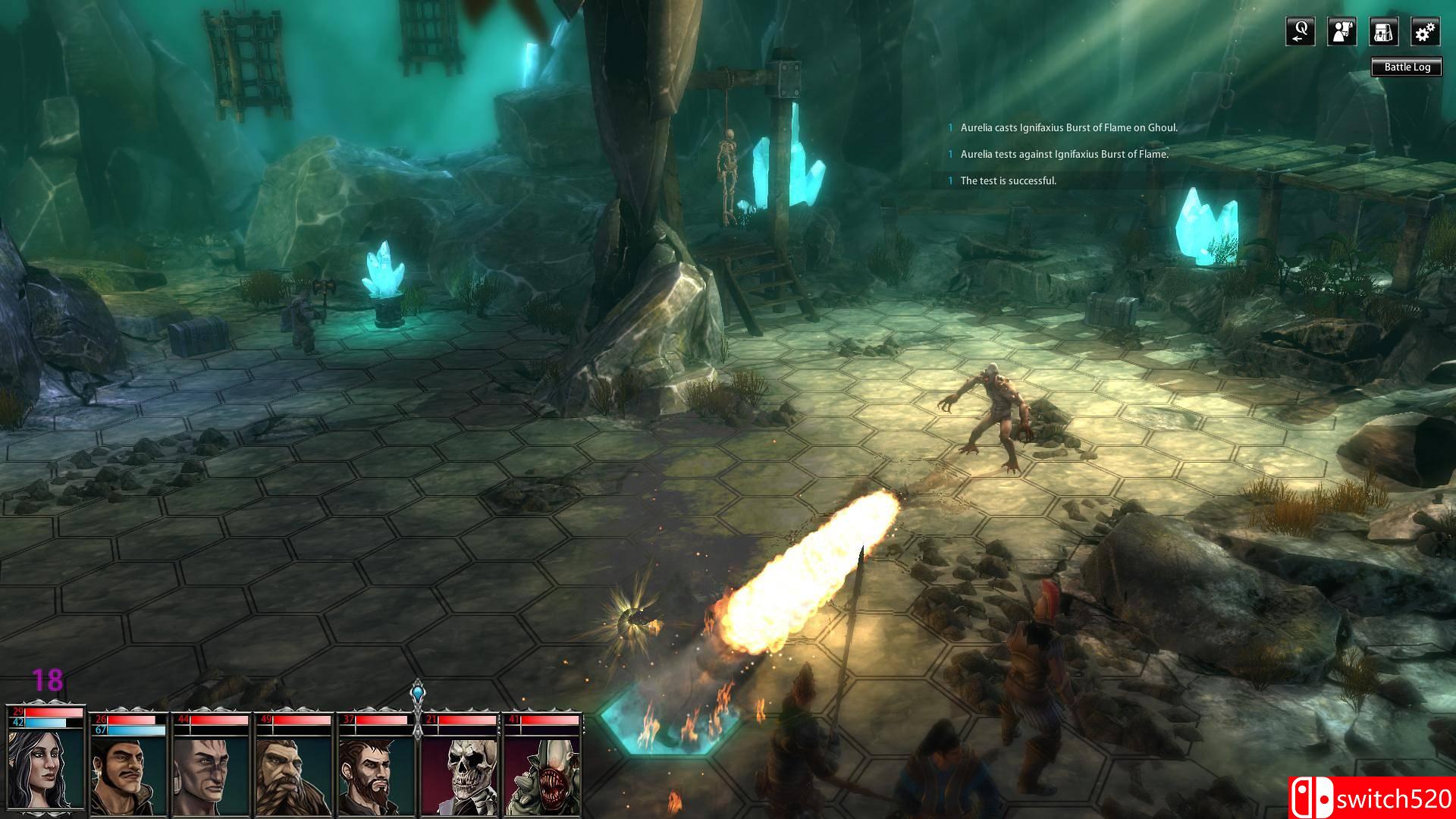 《黑色守卫（Blackguards）》豪华版 十二国语言 PROPHET破解版[EN]_13