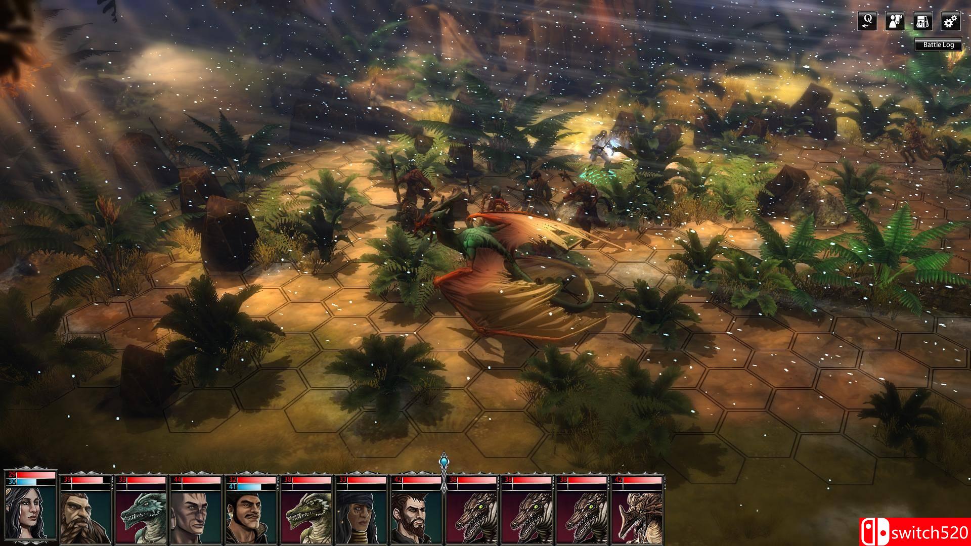 《黑色守卫（Blackguards）》豪华版 十二国语言 PROPHET破解版[EN]_12