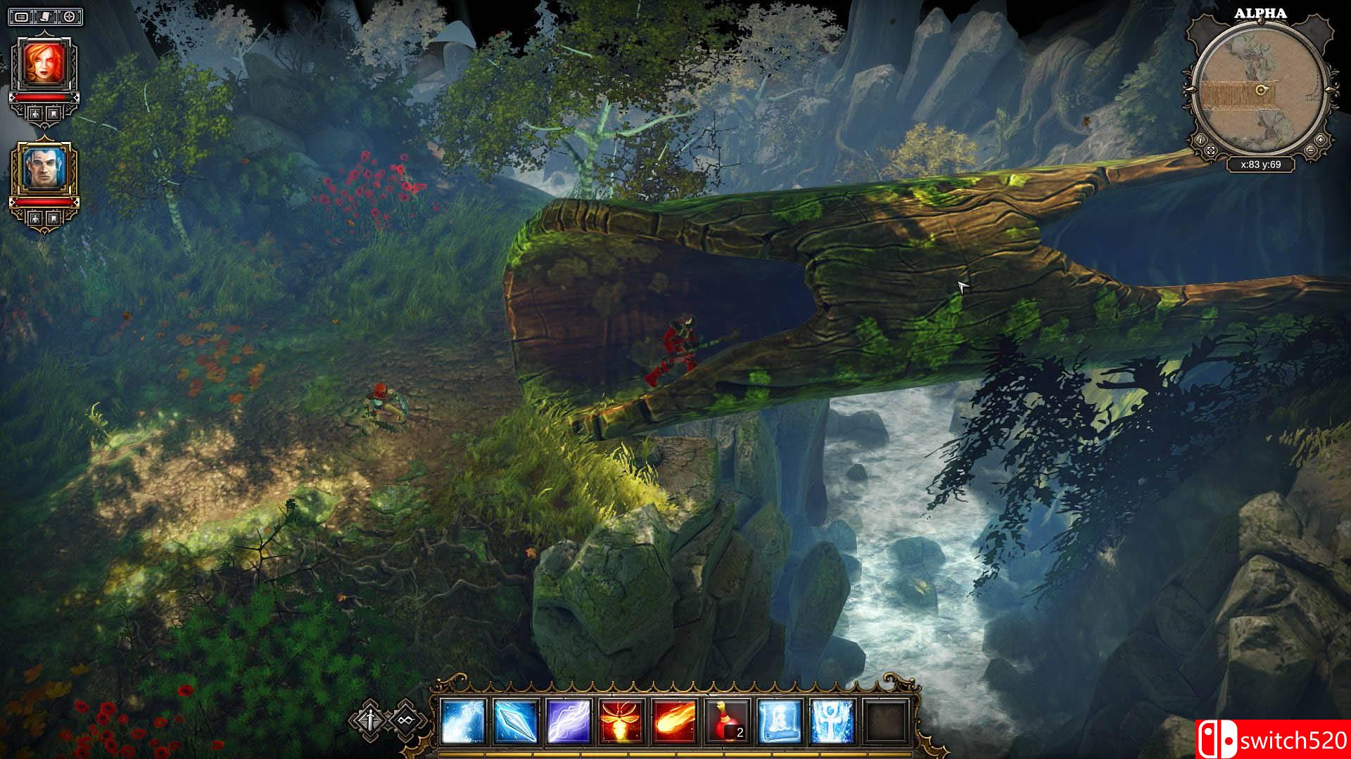 《神界3：原罪（Divinity: Original Sin）》加强版 八国语言 PLAZA破解版[EN]_10