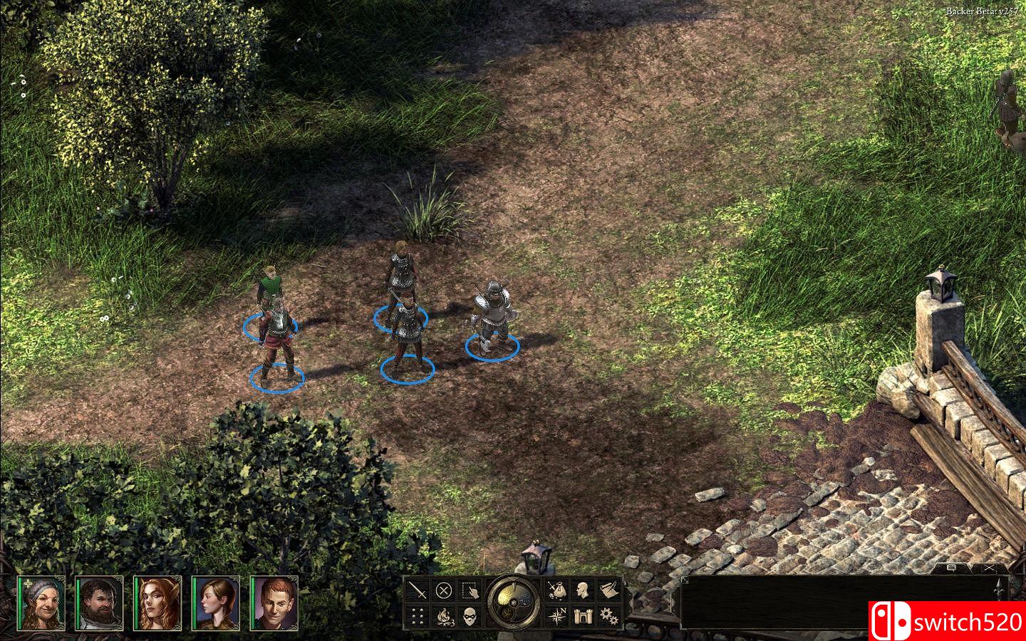 《永恒之柱（Pillars of Eternity）》八国语言 PROPHET破解版[EN]_5