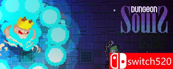 《地牢之魂（Dungeon Souls）》游戏封面图