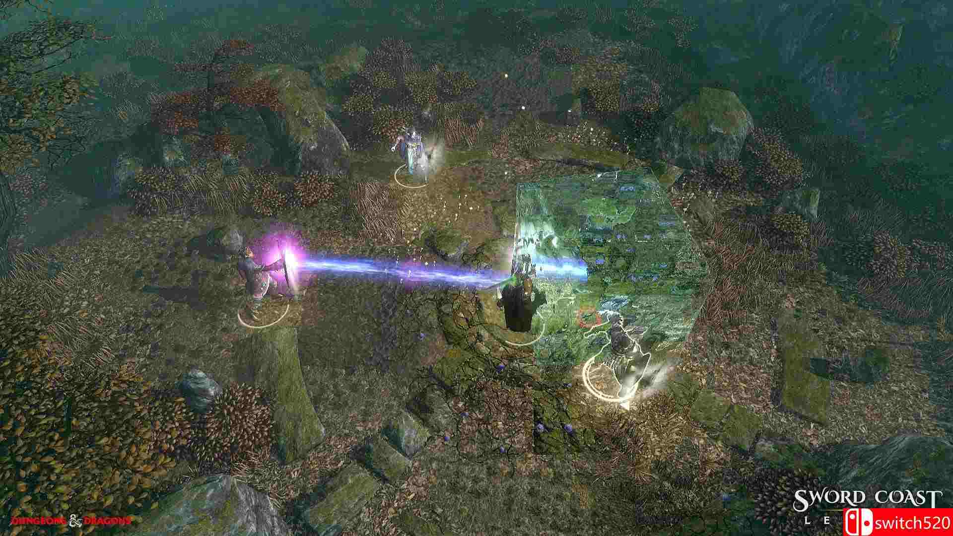 《剑湾传奇（Sword Coast Legends）》CODEX破解版[EN]_2