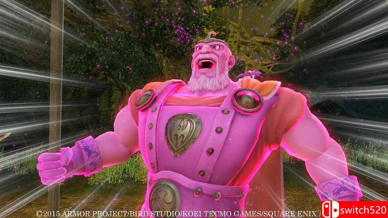 《勇者斗恶龙：英雄》游戏截图2