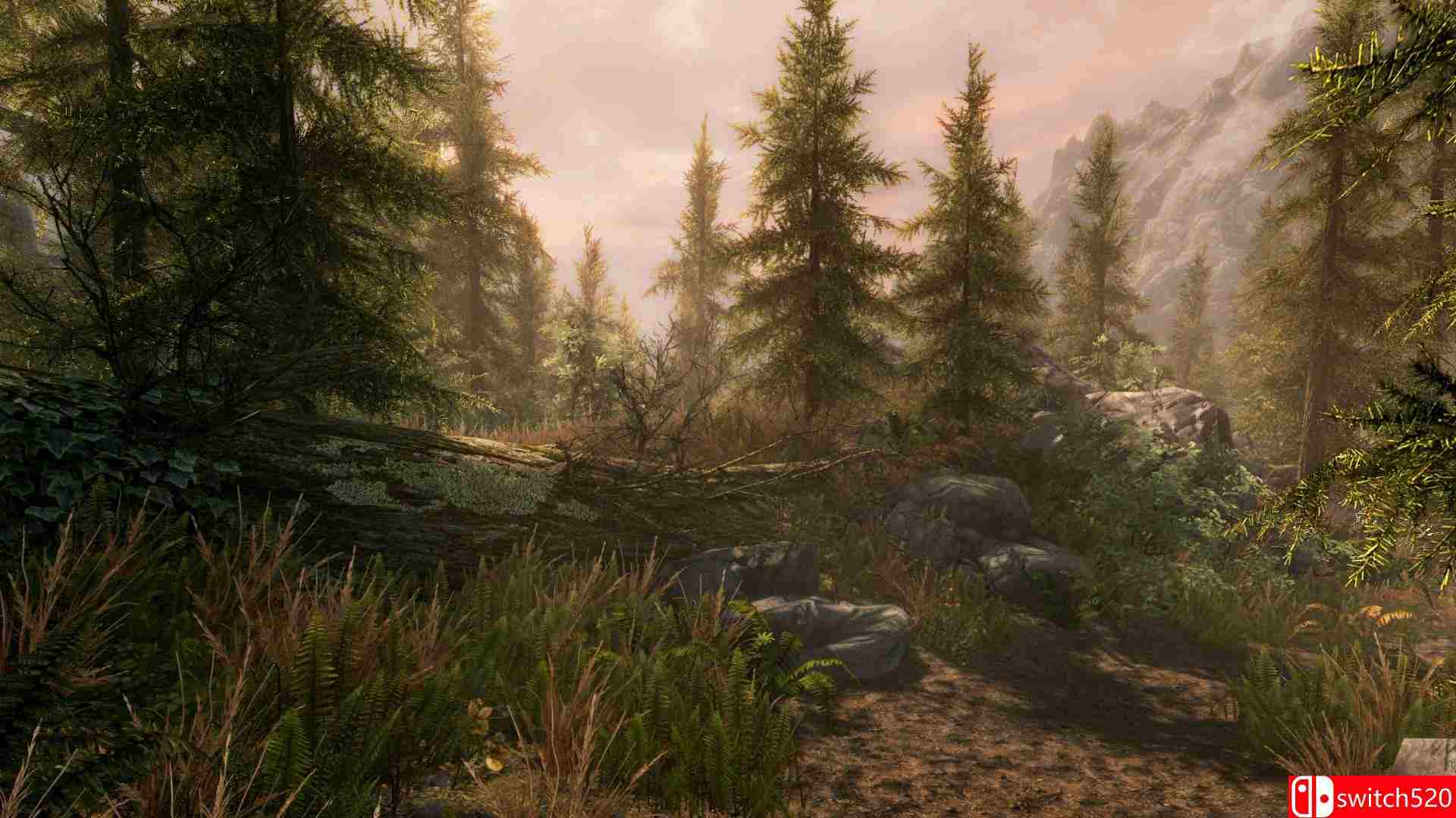 《上古卷轴5：天际重制版》游戏截图1