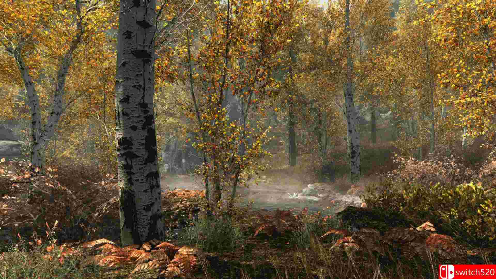 《上古卷轴5:天际重制版》游戏截图7