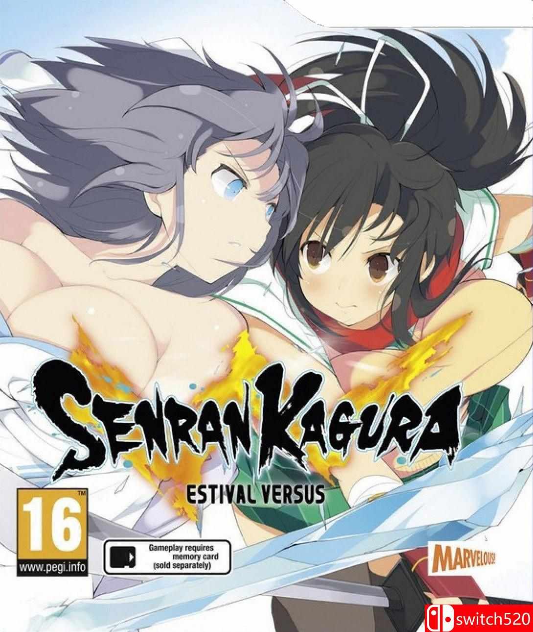 《闪乱神乐：少女们的选择》游戏封面