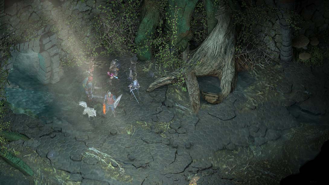 永恒之柱:完全版 Pillars of Eternity: Complete Edition 中文_3