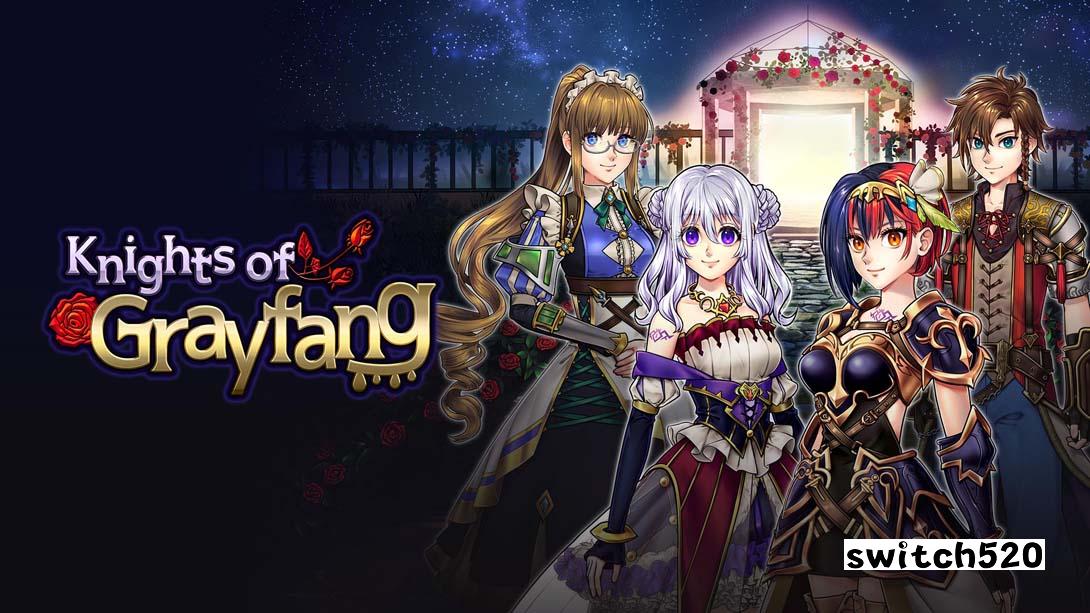 灰方骑士金手指截图1