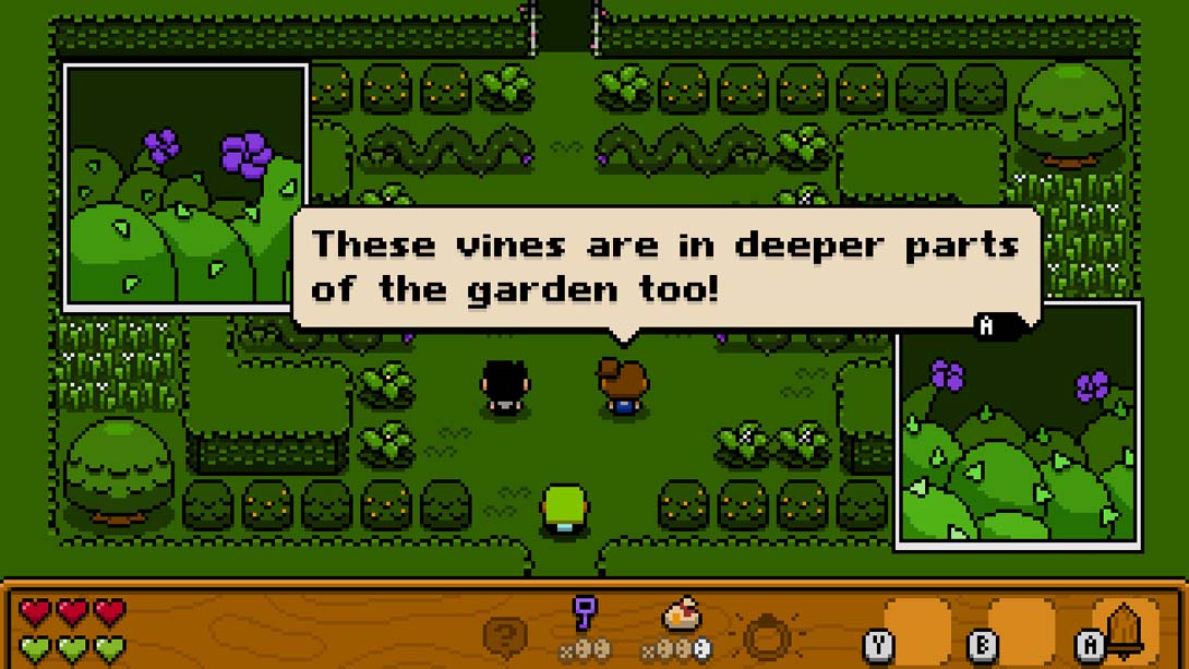 【美版】哈奇维尔 Hatchwell 英语_6