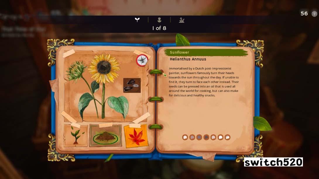 【美版】花园生涯:模拟佛系生活 .Garden Life: A Cozy Simulator 中文_6