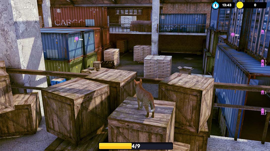 【美版】小猫大营救 Little Strays 中文_3