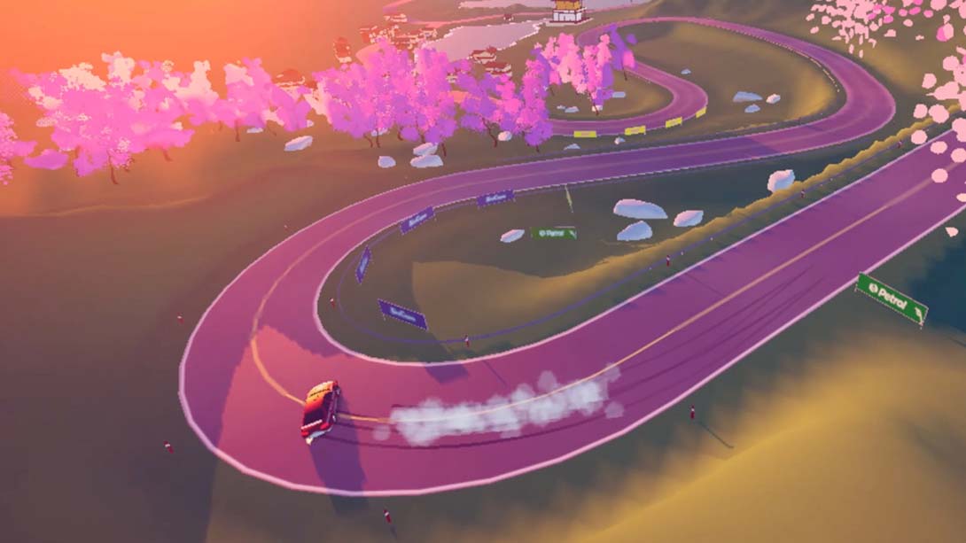 拉力赛的艺术 art of rally 中文_5