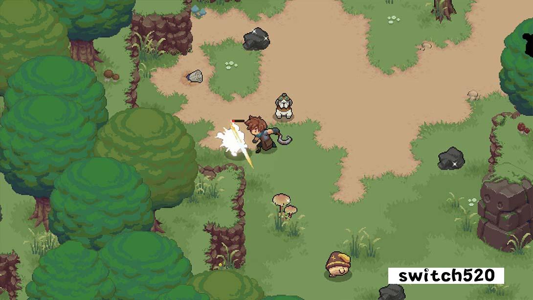 【美版】杏林物语:完整版 .Potion Permit Complete Edition 中文_5