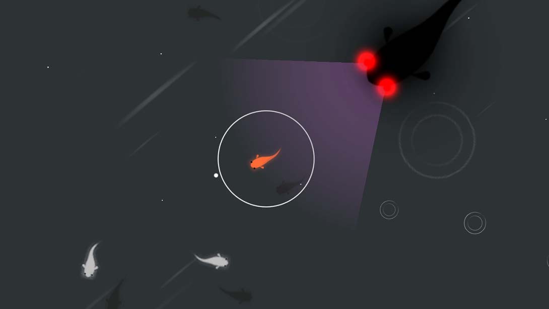 鲤 DX Koi DX 中文_1