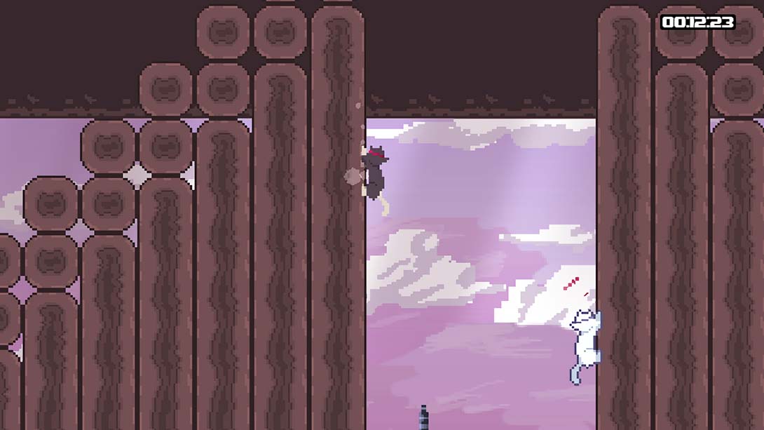 【美版】猫九 NinCat 英语_1