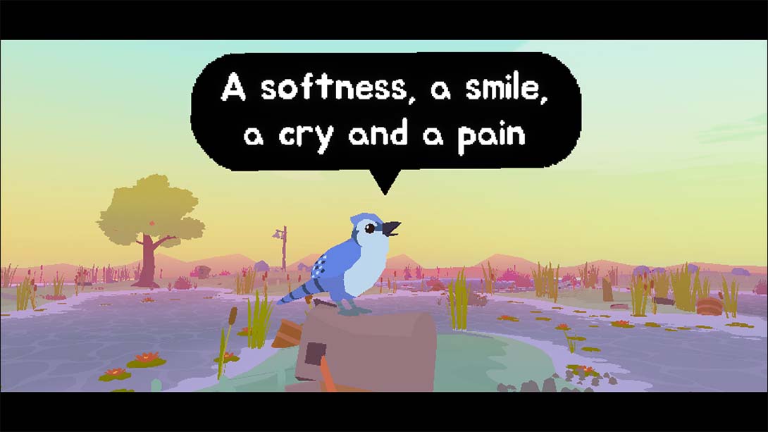 【美版】天堂草沼 Paradise Marsh 英语_6