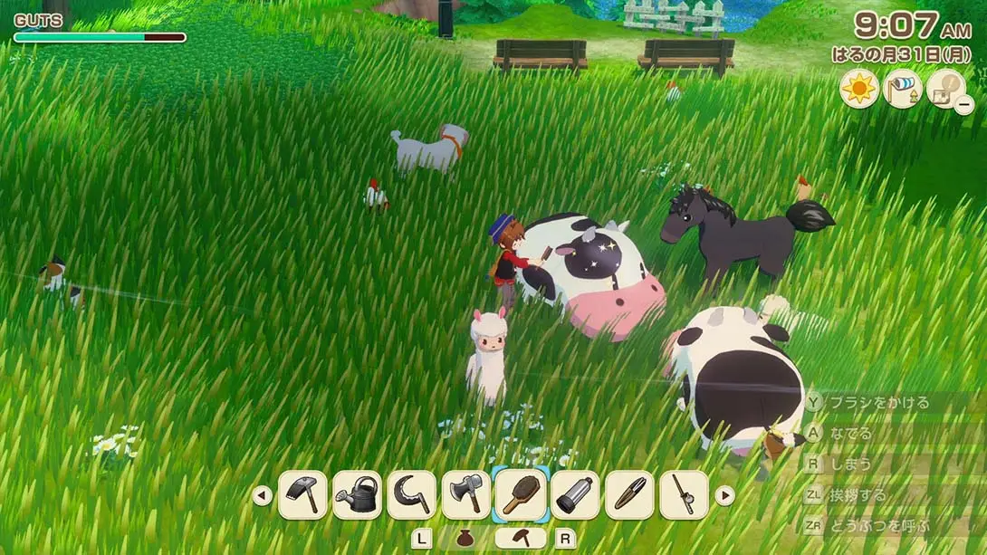 牧场物语 来吧 风之繁华集市金手指截图5