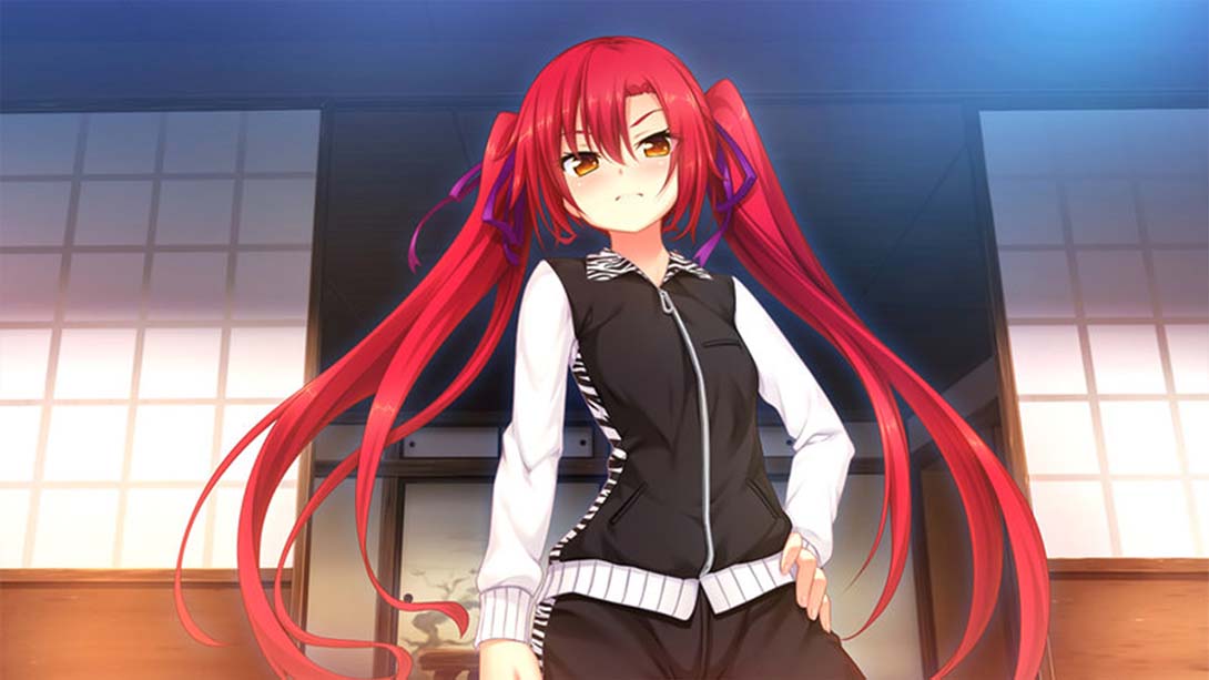 野良与皇女与流浪猫之心2 日语_2