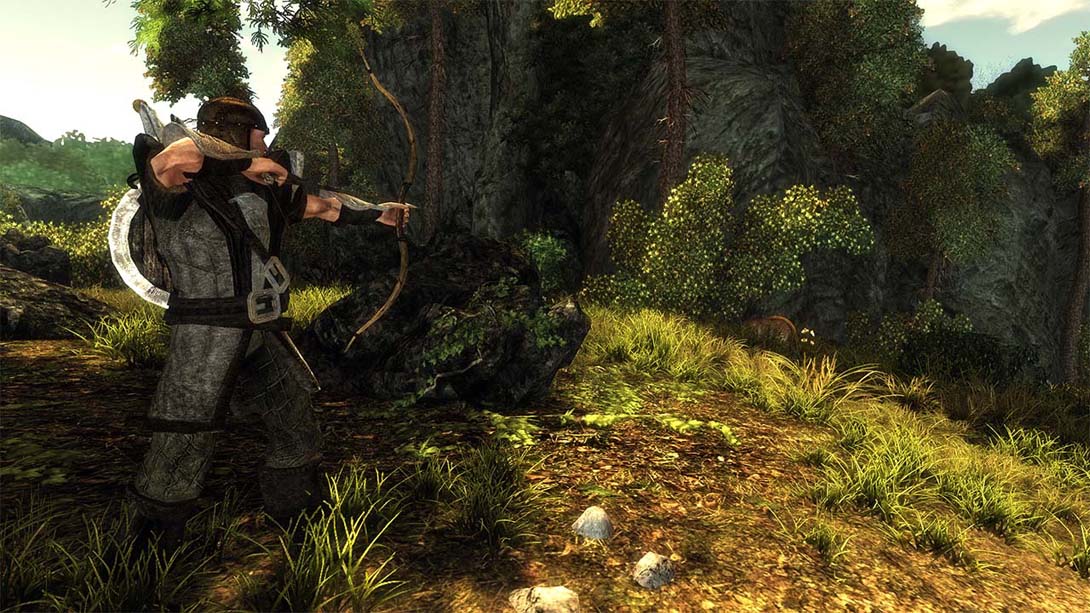 崛起Risen金手指截图2