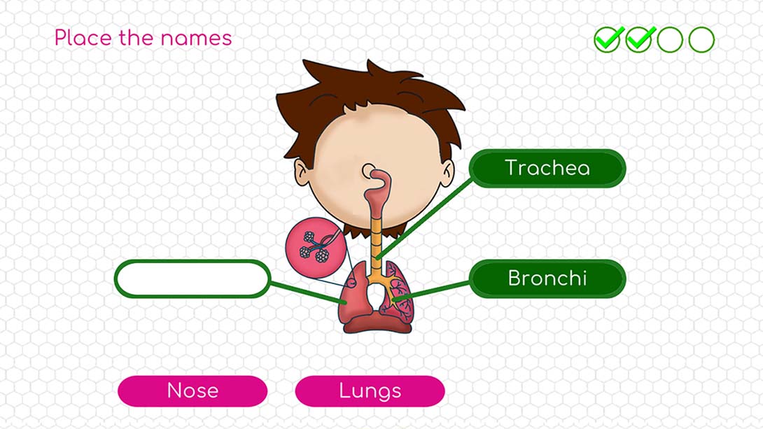 身体探索 BodyQuest 截图5