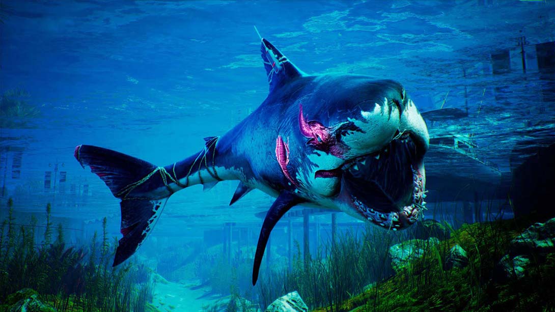 食人鲨游戏截图2