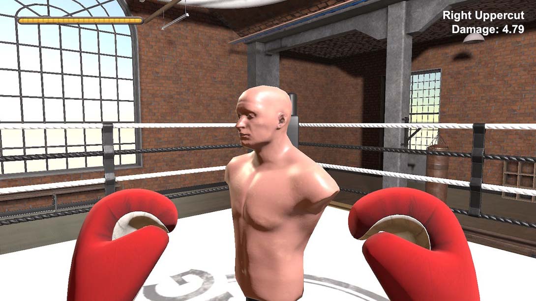 【日版】拳击手 Boxer 英语_6