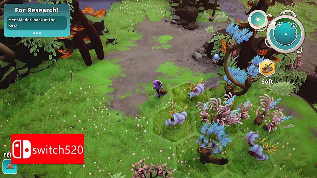 【美版】远花 .Distant Bloom 英语_4