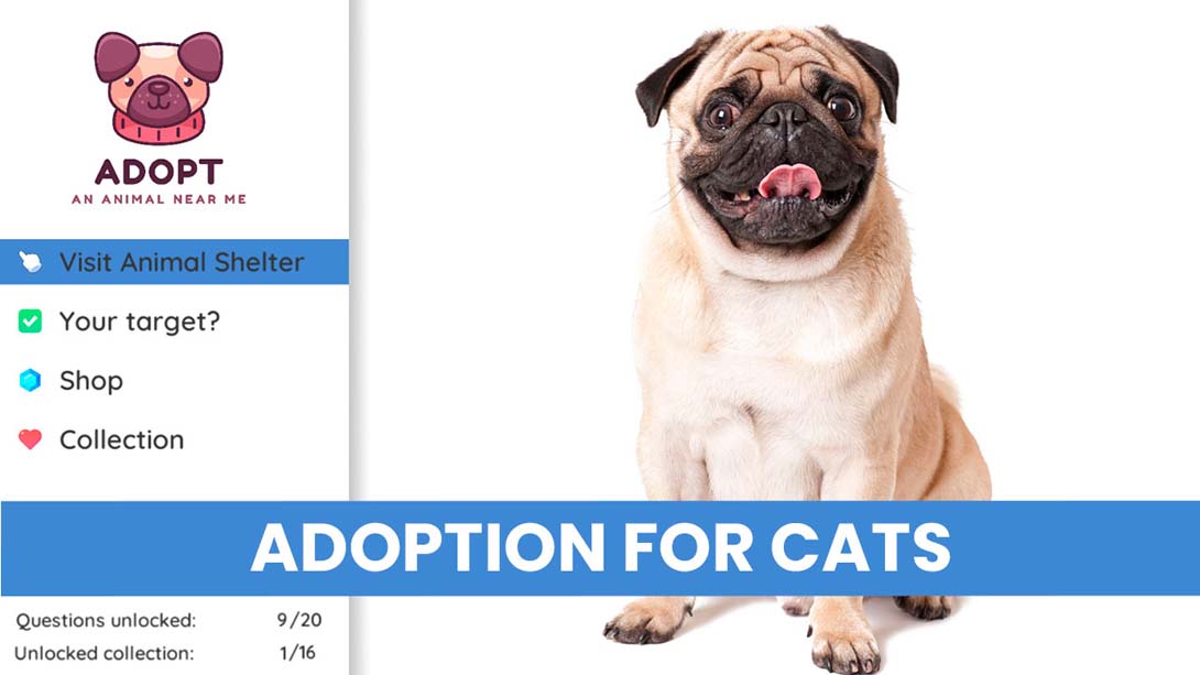 【美版】在我附近收养一只动物 Adopt an animal near me 英语_6