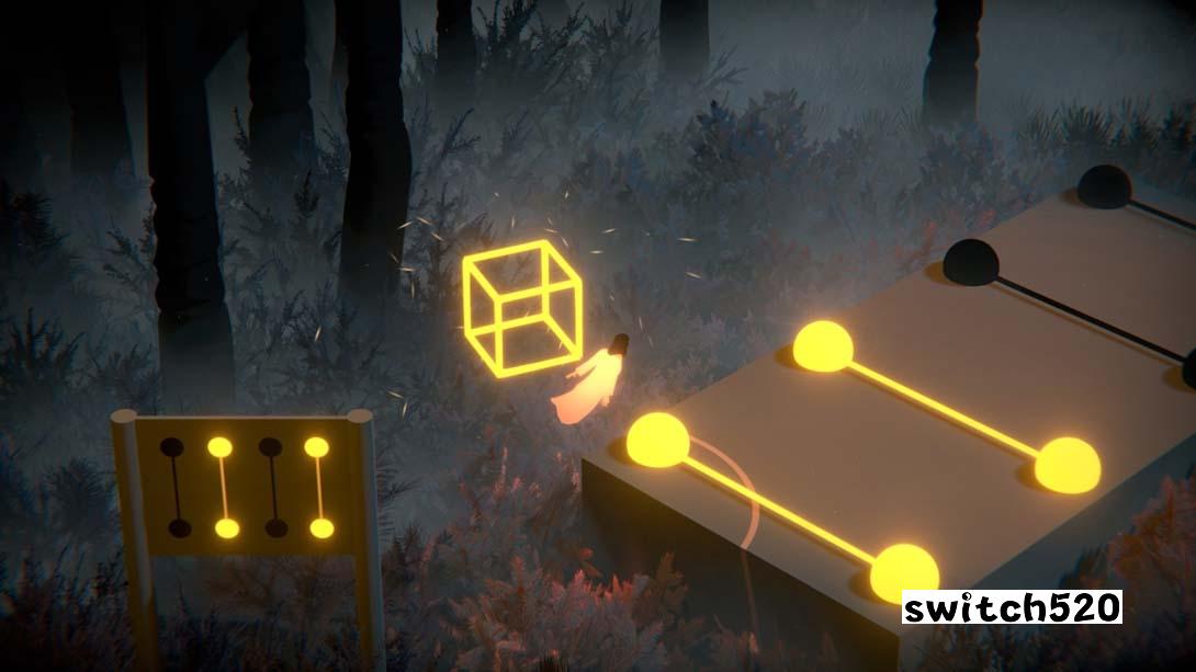 【美版】森林四重奏 The Forest Quartet 中文_4