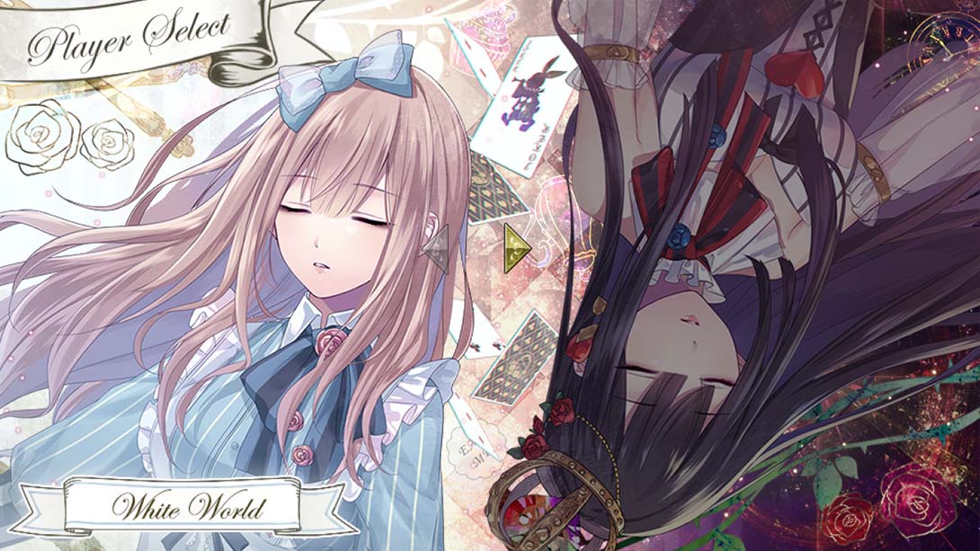 白与黑的爱丽丝 Shiro to Kuro no Alice for Nintendo Switch 日语_3