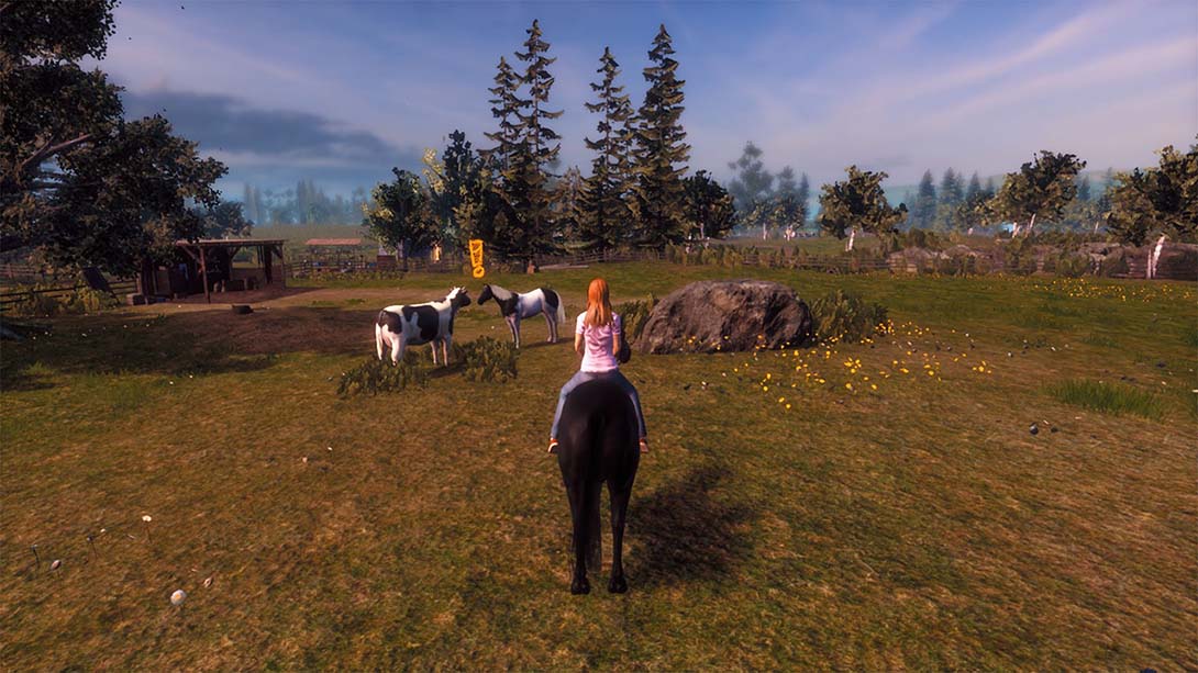 【美版】骏马奥斯温 Windstorm 英语_4