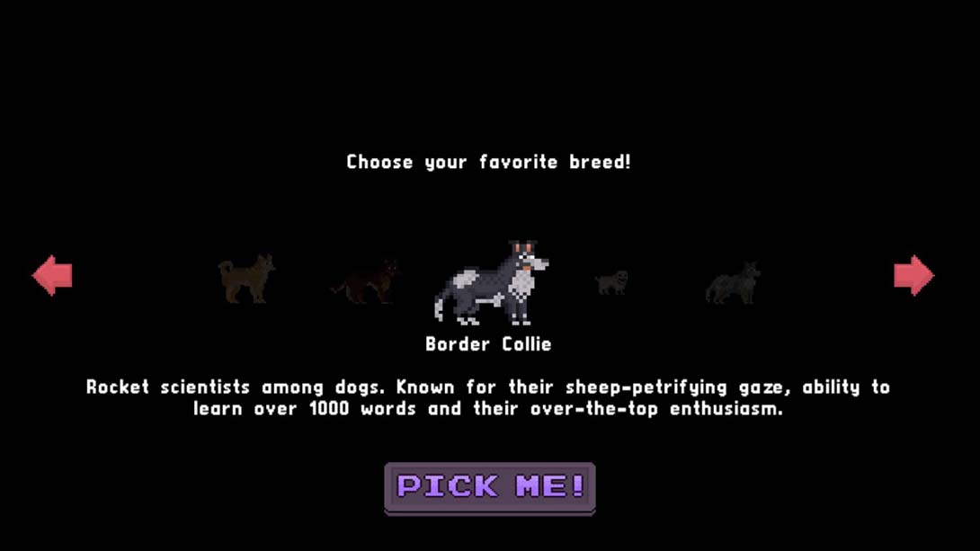 巴尔萨泽的梦境 Balthazars Dreams 英语_4